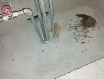 武宣卫生间测漏水价格明细