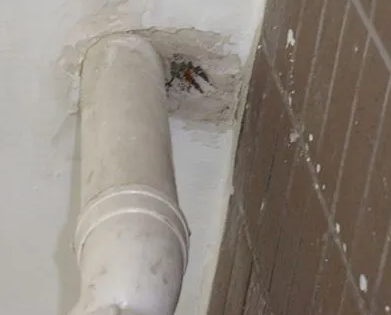 武宣漏水检测哪家好